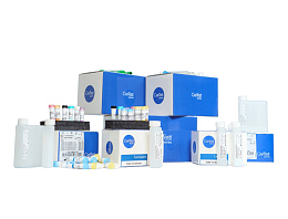 Набор для определения гемоглобина скрытой крови в кале FOB Turbilatex в Ставрополе