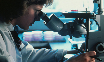 Диагностика и лечение рака