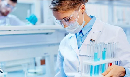 ДИАКОН на краевой научно-практической конференции в Барнауле: выступаем с докладом