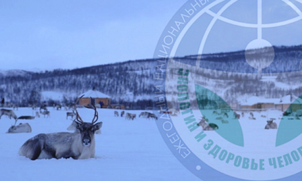Экология и здоровье человека на Севере